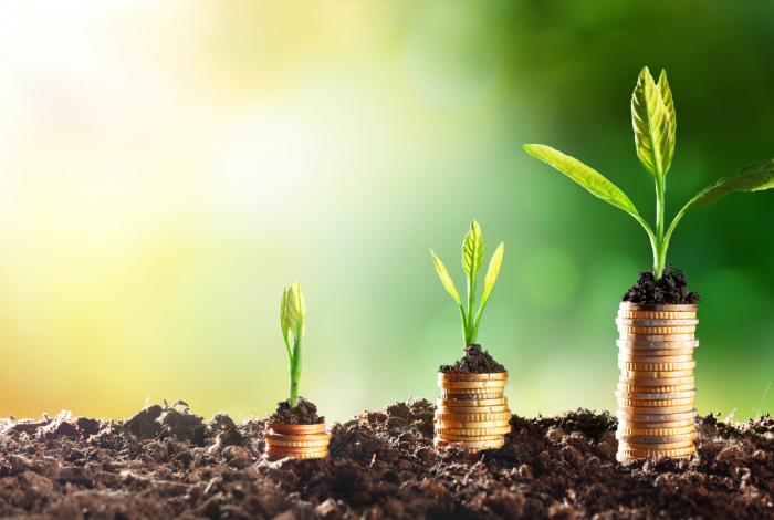 Estate planning Estate planning